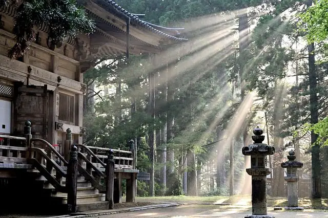 sun rays forest koyasan temple fog